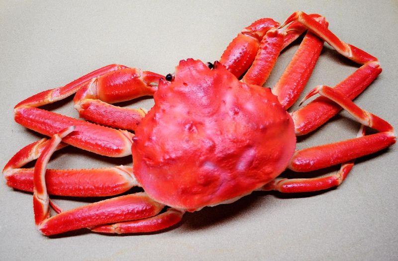 Glucosamine is extracted from the shells of crabs, lobsters and other crustaceans. Glucosamine is extracted from the shells of crabs, lobsters and other crustaceans.