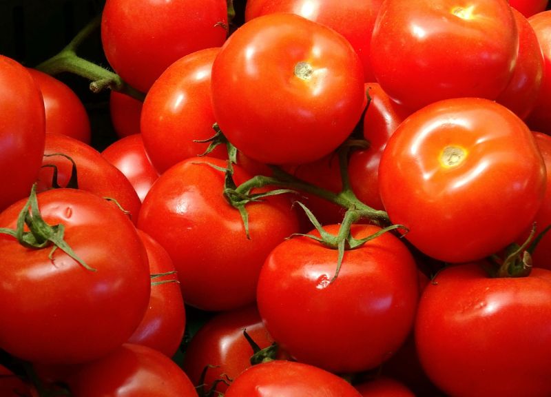 Lycopene, as a pigment, is responsible for the vivid color of tomatoes and several other fruits and vegetables. Lycopene, as a pigment, is responsible for the vivid color of tomatoes and several other fruits and vegetables.