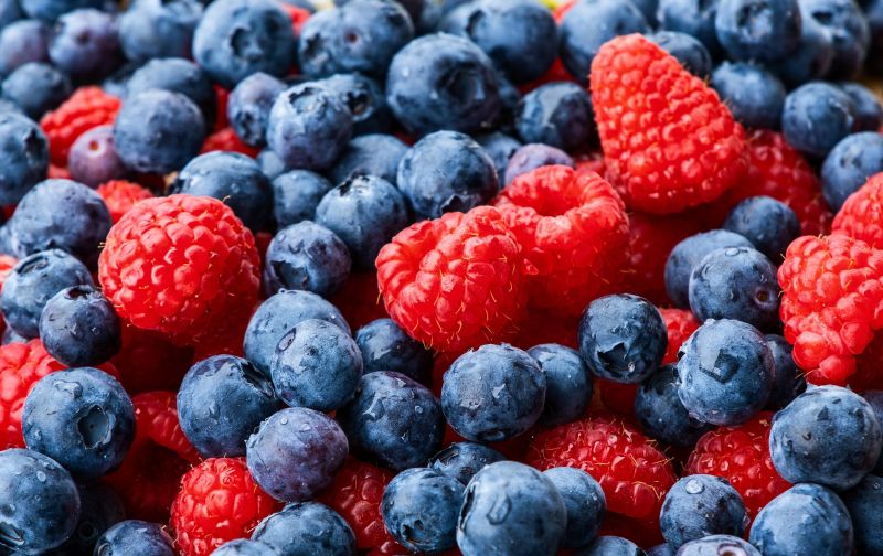 Resveratrol is concentrated in the skin and seeds of grapes and berries. Resveratrol is concentrated in the skin and seeds of grapes and berries.