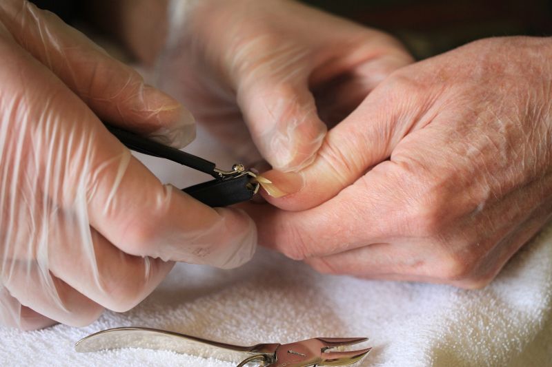 Silica plays a vital role in the health of our skin, nails, hair and bones. Silica plays a vital role in the health of our skin, nails, hair and bones.